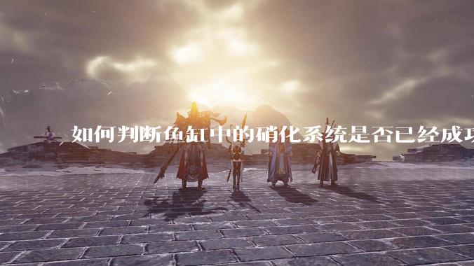 如何判断鱼缸中的硝化系统是否已经成功建立？